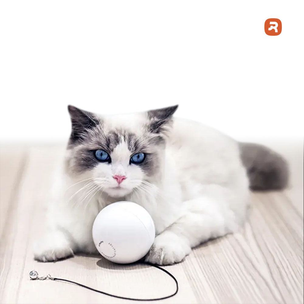 智能寵物小魔球